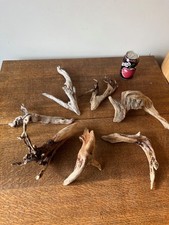 Driftwood Pieces  x7  little branch shapes   vivarium .or crafts. Bogwood