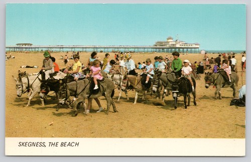 Vintage skegness beach donkey - vintage,