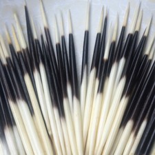 5/10Pcs Porcupine Quills DIY