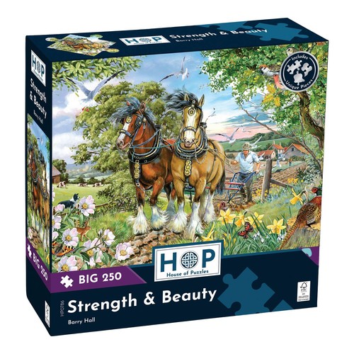 The house puzzles - of, strength