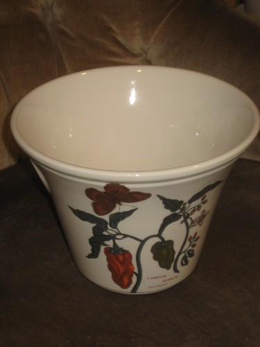 Plant pot china - plant, in