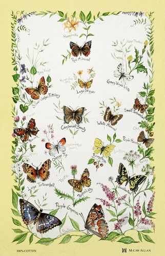 Floral butterflies tea - floral,