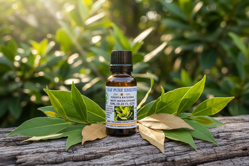 Bay leaf pure essential oil - essential,