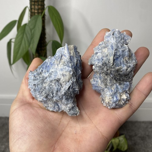 Stunning 252g 185g - 2, blue