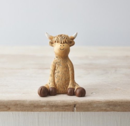 Small highland cow - highland,