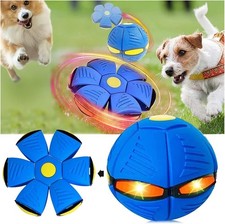 Pet Toy Flying Saucer