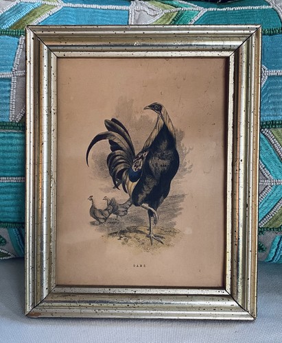 Antique engraving game - antique, fowl