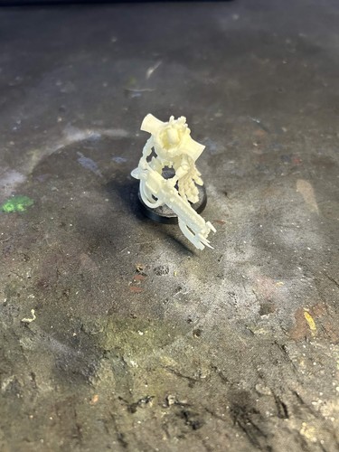 Resin printed royal warden - printed,