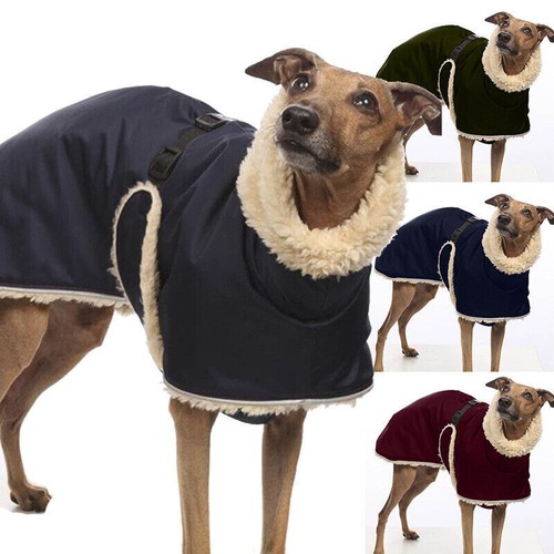 Pet high collar - jumper, sweater