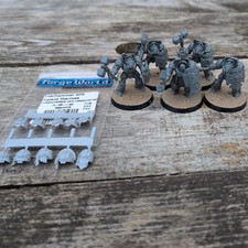 Crimson Fist Terminator Squad