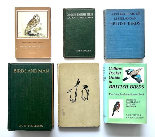 Vintage british bird books - bird,