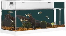 Fish Tank, Rectangular