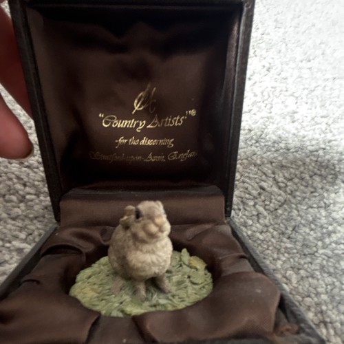 Country artists rabbit - artists,
