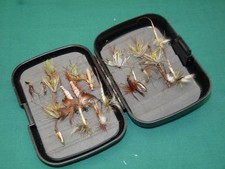 nice set Mayflies & Daddy long