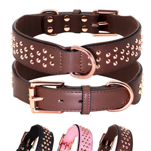 Spike dog collar wide - dog, soft