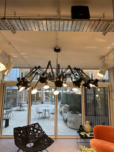 Moooi dear ingo black - ingo,