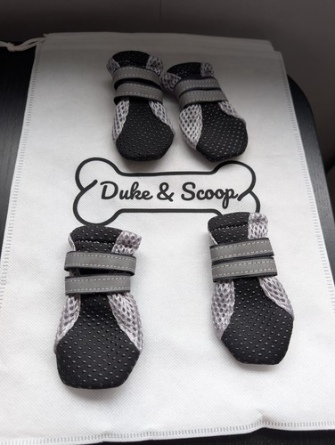 Duke and scoop - duke,