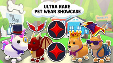 Adopt Today All Stuff Fast and