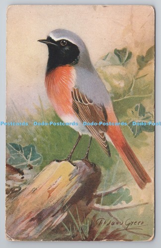 R800469 redstart art press - r800469,