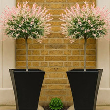 2x Topiary Flamingo Willow