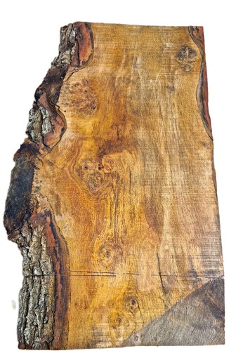 English oak live edge - edge, slab
