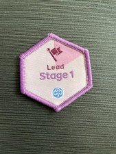 Girlguiding Lead Stage 1