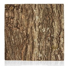 Swell Reptiles Natural Cork