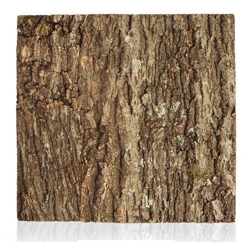Swell reptiles natural cork - natural,