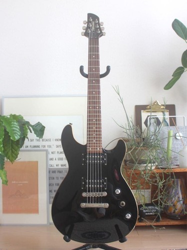 Fernandes apg standard - fernandes, apg-standard