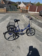 Pashley Picador Tricycle 15”