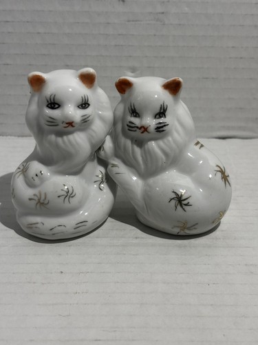 Vtg persian himalayan - 2,