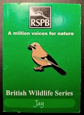Rare RSPB JAY British Bird pin
