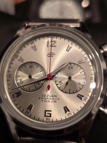 Seagull 1963 chinese - 1963, pilot