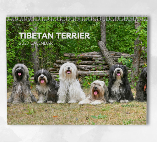 Tibetan terrier calendar 2027 - tibetan,