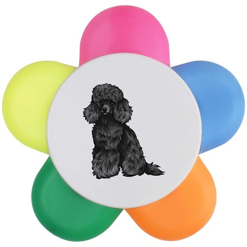 Black toy poodle - toy, flower