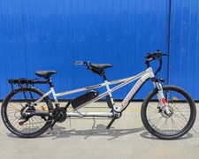 Elektrisch 500W/48V Two Seater
