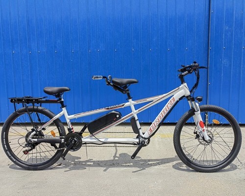 Elektrisch 500w 48v two seater - two,