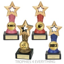 Martial Arts Judo Karate Jiu