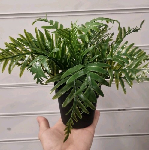 New small artificial - small, plant