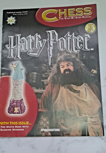 Harry potter wizard chess - harry,