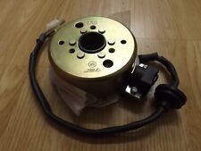 CPI Aragon/formula R stator/generator assembly