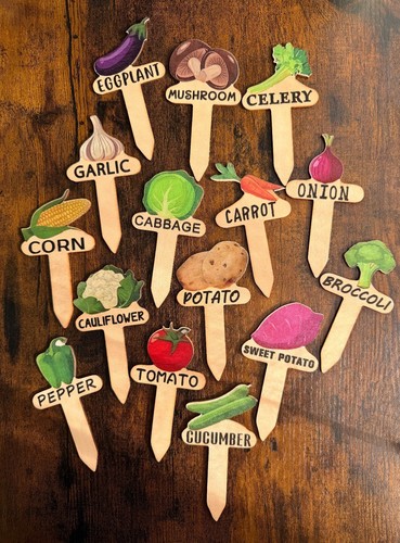 15x wooden vegetable stake - 15x,