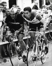 Eddy Merckx Signed 8x10 Photo