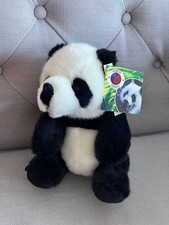Cute, lovable black and white