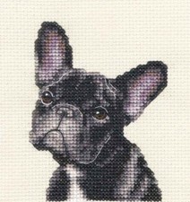 Black french bulldog - french,