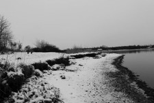 Photo 6x4 Snowy beach