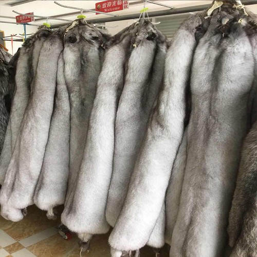 Genuine blue fox skin - 1x, pelts