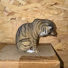 North Light Siamese Tabby Cat Wade