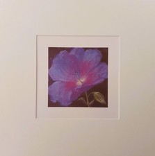 Nel Whatmore "Hiawatha" &