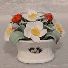 Aynsley Hand Modelled & Hand